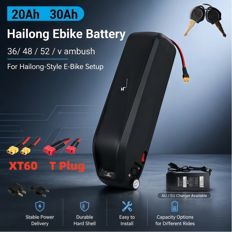 Versatile Hailong Battery, Mul - đánh giá và giá Ebike Battery 48V 20Ah Hailong