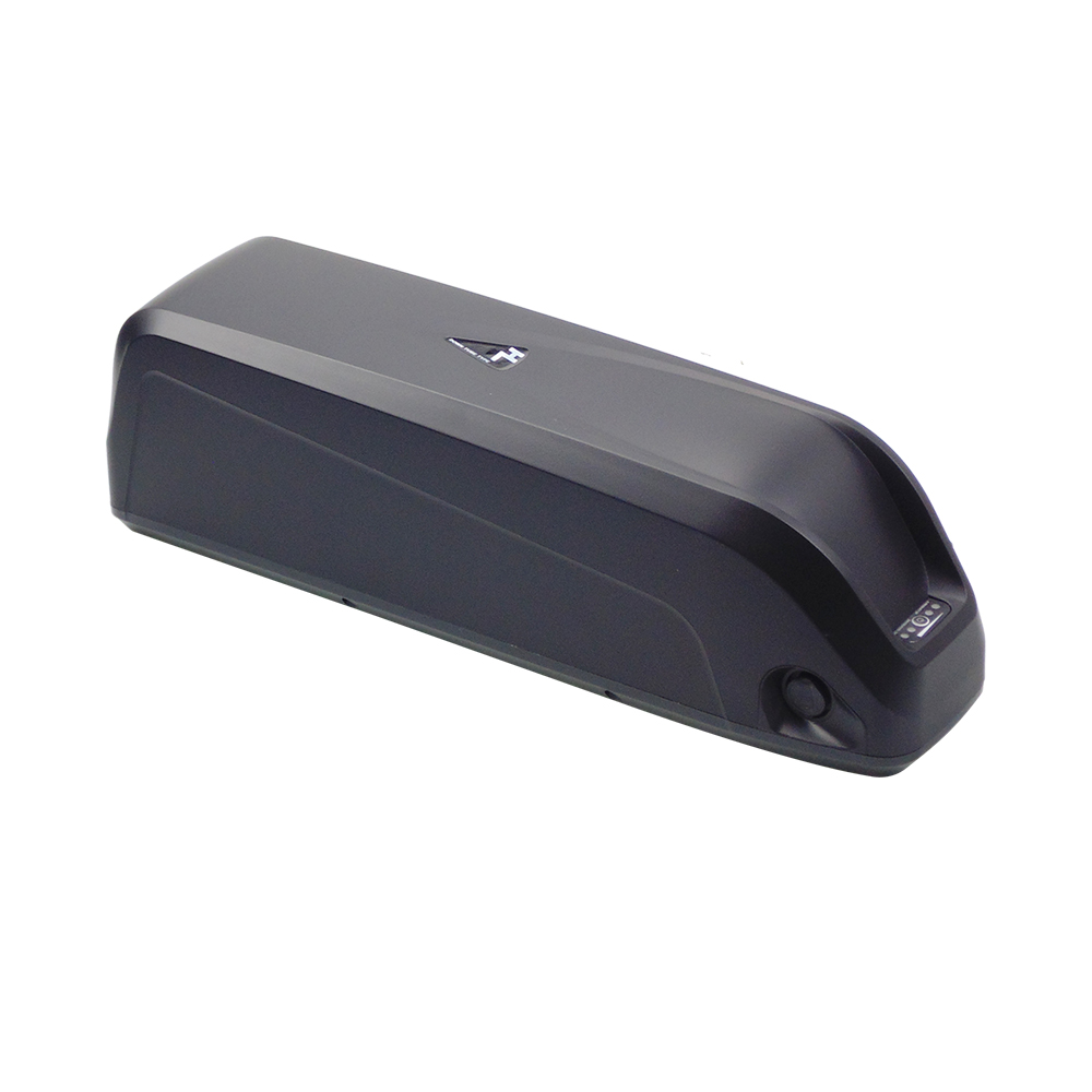 Hailong Lithium Ebike Battery  - đánh giá và giá Ebike Battery 48V 20Ah Hailong