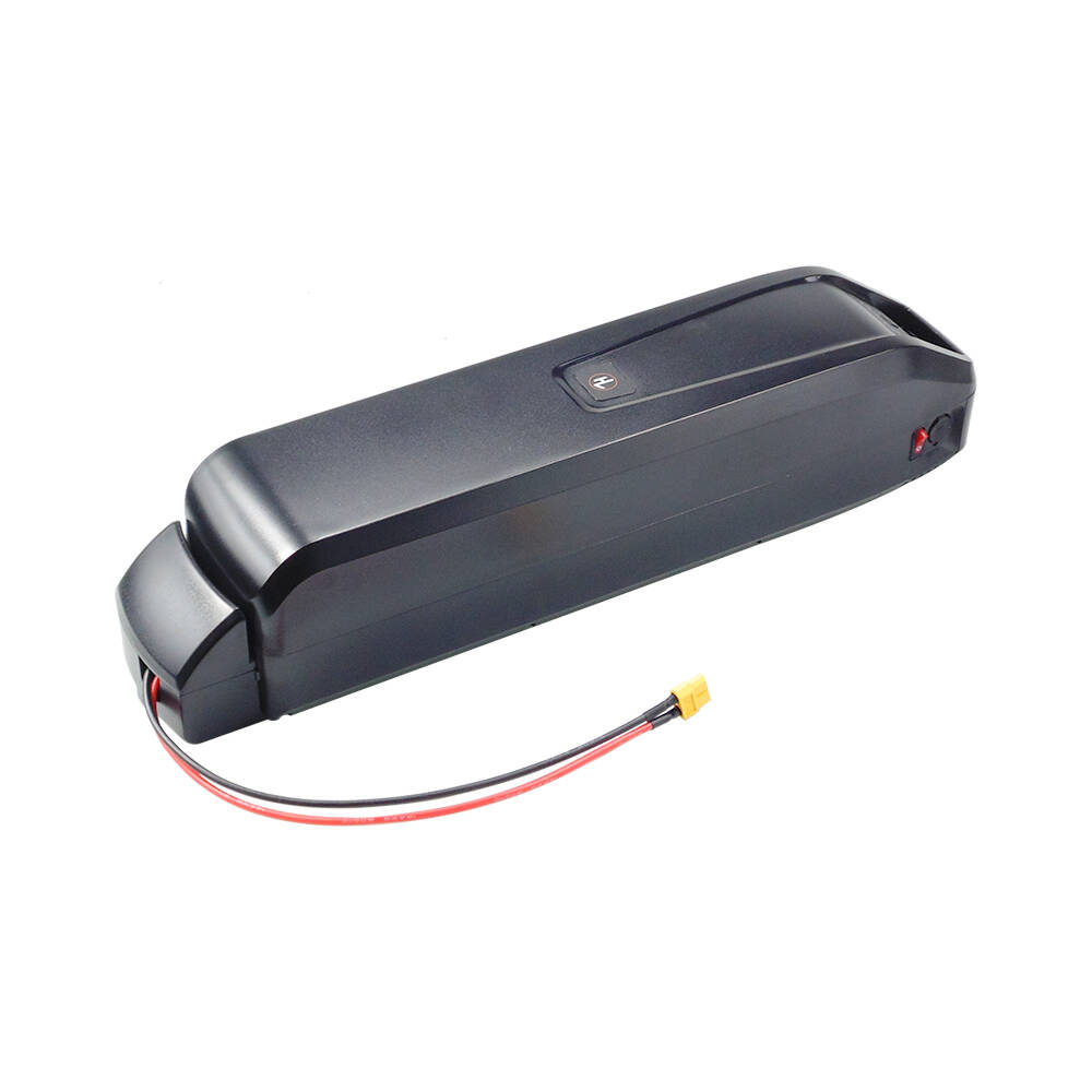 New S20 Pro 48V 13Ah 20Ah Hail - đánh giá và giá Ebike Battery 48V 20Ah Hailong